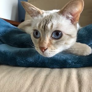 Meet your Posher, Mary